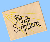 custom website design for for Big Scripture&trade; in Grand Junction Colorado